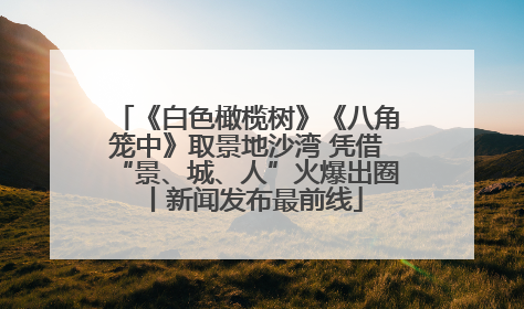 《白色橄榄树》《八角笼中》取景地沙湾 凭借“景、城、人”火爆出圈丨新闻发布最前线