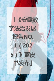 《安徽数字法治发展报告NO.1（2025）》蓝皮书发布