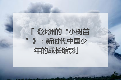 《沙洲的“小树苗”》：新时代中国少年的成长缩影