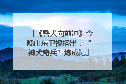 《警犬向前冲》今晚山东卫视播出，“神犬奇兵”炼成记