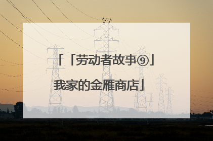 「劳动者故事⑨」我家的金雁商店