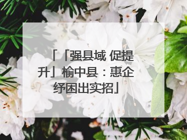 「强县域 促提升」榆中县：惠企纾困出实招