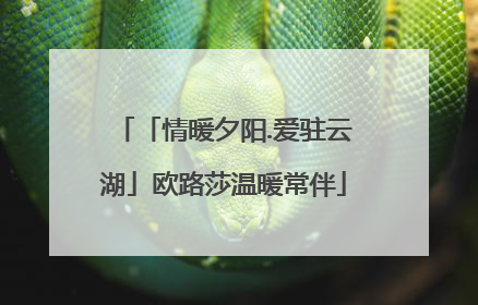 「情暖夕阳.爱驻云湖」欧路莎温暖常伴