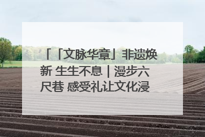 「文脉华章」非遗焕新 生生不息｜漫步六尺巷 感受礼让文化浸润的“巷”往生活