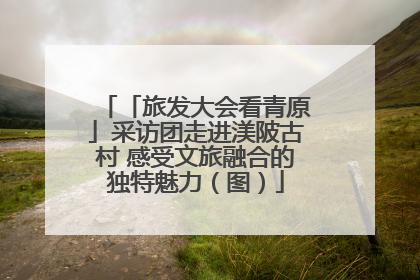 「旅发大会看青原」采访团走进渼陂古村 感受文旅融合的独特魅力（图）