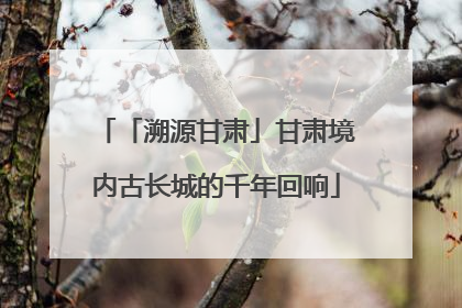 「溯源甘肃」甘肃境内古长城的千年回响