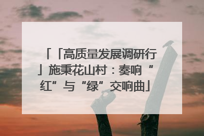 「高质量发展调研行」施秉花山村：奏响“红”与“绿”交响曲
