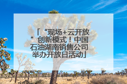 “现场+云开放”创新模式！中国石油湖南销售公司举办开放日活动
