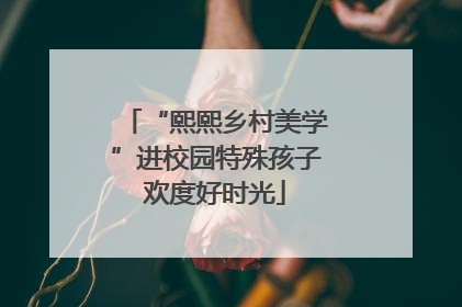 “熙熙乡村美学”进校园特殊孩子欢度好时光