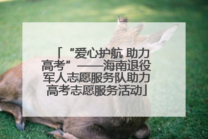 “爱心护航 助力高考”——海南退役军人志愿服务队助力高考志愿服务活动
