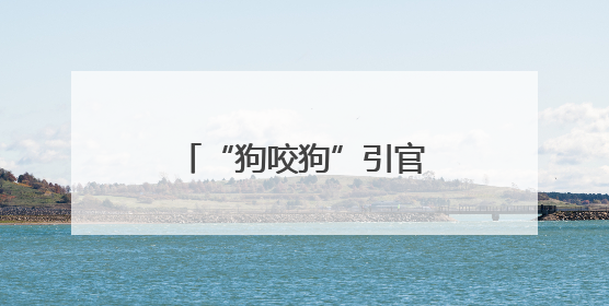 “狗咬狗”引官司，狗主人屡次不牵狗绳担全责