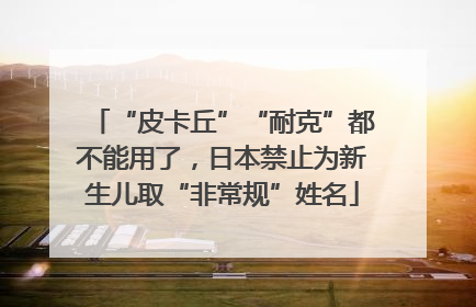 “皮卡丘”“耐克”都不能用了，日本禁止为新生儿取“非常规”姓名
