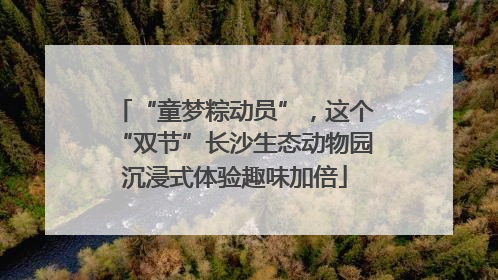 “童梦粽动员”，这个“双节”长沙生态动物园沉浸式体验趣味加倍