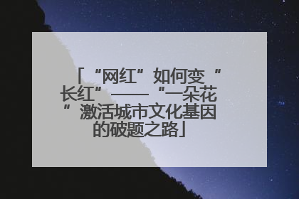 “网红”如何变“长红”——“一朵花”激活城市文化基因的破题之路
