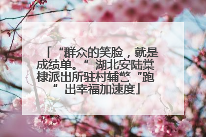 “群众的笑脸，就是成绩单。”湖北安陆棠棣派出所驻村辅警“跑”出幸福加速度