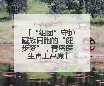 “组团”守护藏族同胞的“健步梦”，青岛医生再上高原