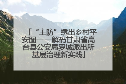 “主防”绣出乡村平安图——解码甘肃省高台县公安局罗城派出所基层治理新实践