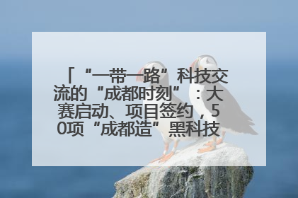 “一带一路”科技交流的“成都时刻”：大赛启动、项目签约，50项“成都造”黑科技吸引多国客商