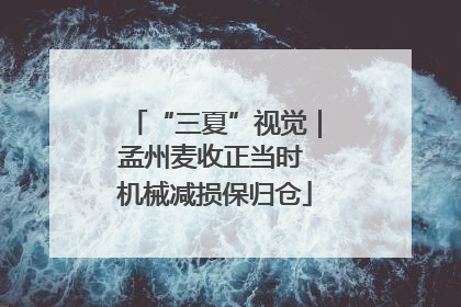 “三夏”视觉｜孟州麦收正当时 机械减损保归仓