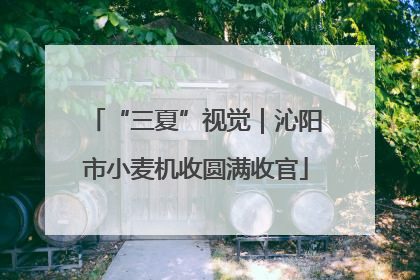 “三夏”视觉｜沁阳市小麦机收圆满收官