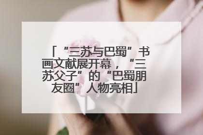 “三苏与巴蜀”书画文献展开幕，“三苏父子”的“巴蜀朋友圈”人物亮相