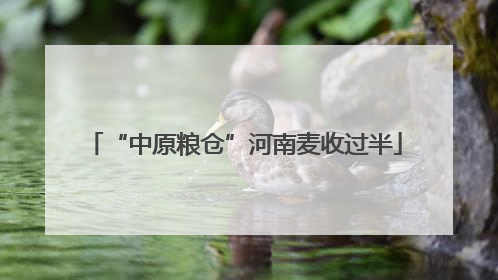 “中原粮仓”河南麦收过半