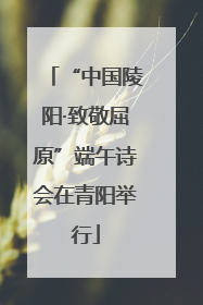 “中国陵阳·致敬屈原”端午诗会在青阳举行
