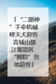“二郎神”手牵机械哮天犬迎客 青城山都江堰景区 “圈粉”各地游客