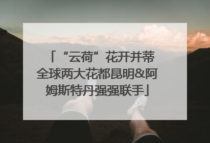 “云荷”花开并蒂 全球两大花都昆明&阿姆斯特丹强强联手
