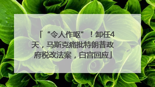 “令人作呕”！卸任4天，马斯克痛批特朗普政府税改法案，白宫回应