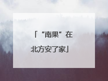 “南果”在北方安了家