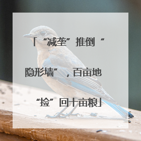 “减垄”推倒“隐形墙”，百亩地“捡”回十亩粮