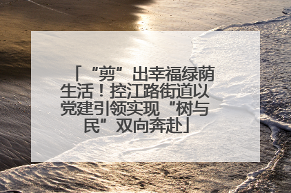 “剪”出幸福绿荫生活！控江路街道以党建引领实现“树与民”双向奔赴
