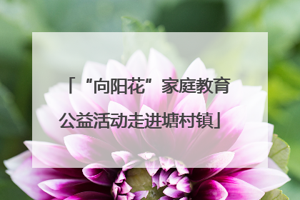 “向阳花”家庭教育公益活动走进塘村镇