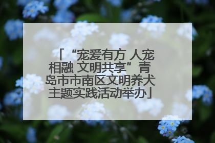 “宠爱有方 人宠相融 文明共享”青岛市市南区文明养犬主题实践活动举办