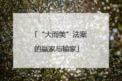 “大而美”法案的赢家与输家