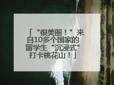 “很美丽！”来自10多个国家的留学生“沉浸式”打卡桃花山！