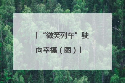 “微笑列车”驶向幸福（图）