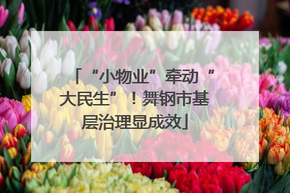 “小物业”牵动“大民生”！舞钢市基层治理显成效