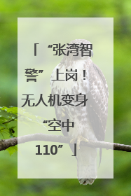 “张湾智警”上岗！无人机变身 “空中 110”