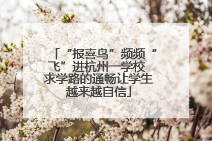 “报喜鸟”频频“飞”进杭州一学校 求学路的通畅让学生越来越自信