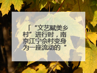 “文艺赋美乡村”进行时，南京江宁佘村变身为一座流动的“艺术村落”