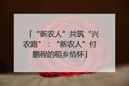 “新农人”共筑“兴农路”：“新农人”付鹏程的稻乡情怀