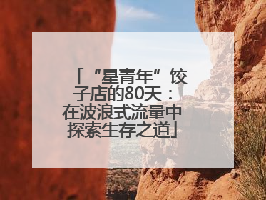 “星青年”饺子店的80天：在波浪式流量中探索生存之道