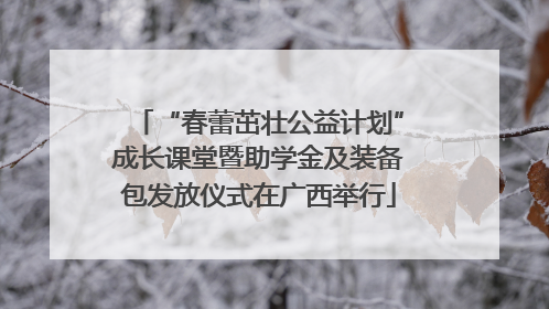 “春蕾茁壮公益计划”成长课堂暨助学金及装备包发放仪式在广西举行