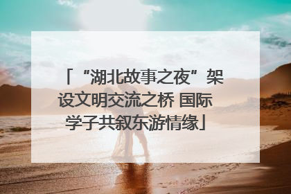 “湖北故事之夜”架设文明交流之桥 国际学子共叙东游情缘