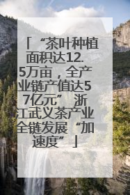 “茶叶种植面积达12.5万亩，全产业链产值达57亿元” 浙江武义茶产业全链发展“加速度”