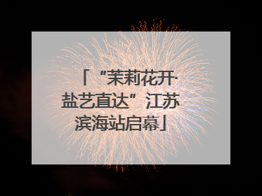 “茉莉花开·盐艺直达”江苏滨海站启幕