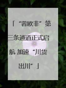 “蓉欧非”第三条通道正式启航 加速“川货出川”