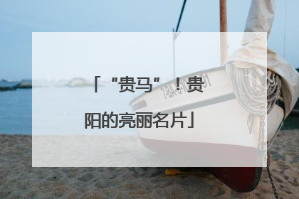 “贵马”！贵阳的亮丽名片